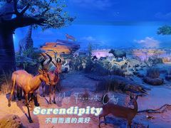 -天津自然博物馆
