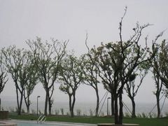 28-阳澄湖费尔蒙酒店