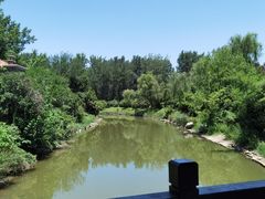 -思念果岭悦温泉