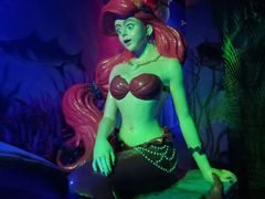 -美的鹭湖探索王国