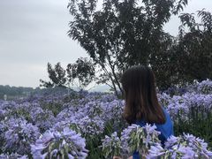 -云漫湖生态度假公园