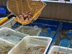 -品味居·首店·大连鲜活海鲜大连菜(东港店)