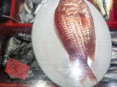 -福建美食城(老君堂店)