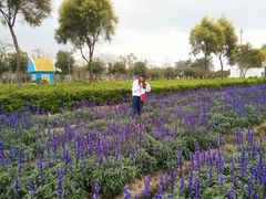 -广东花都香草世界旅游度假区