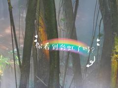 -青青世界