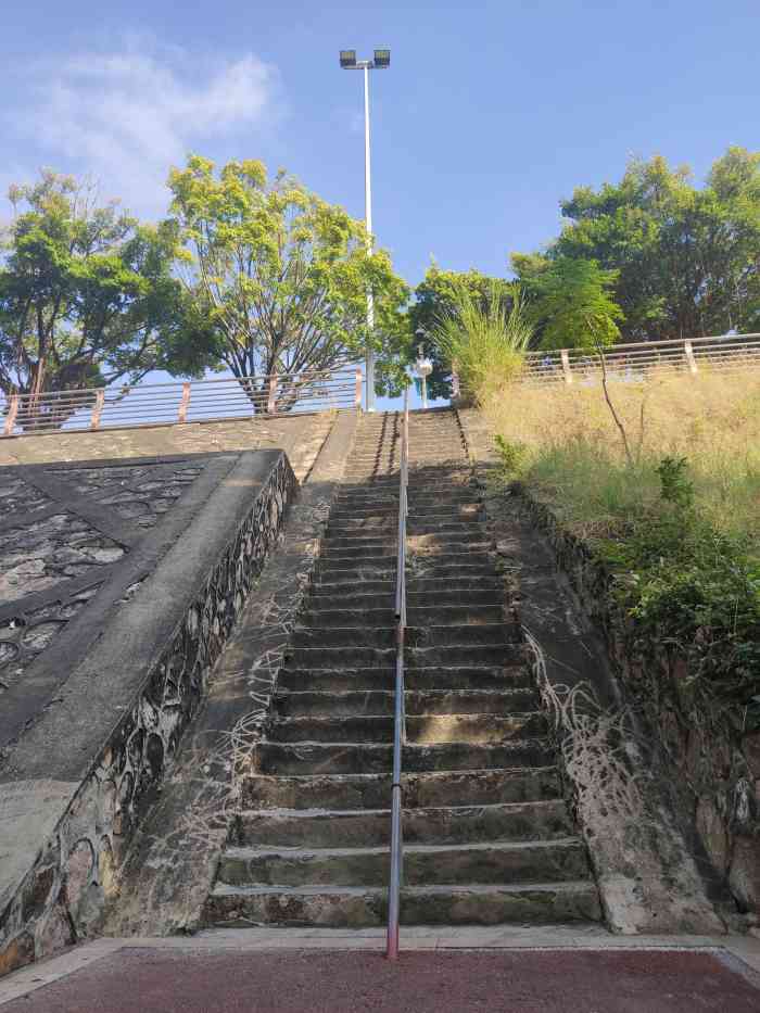 大塘龙社区文体公园-"文体公园环境优美,特别是草地和绿色植物修..."-