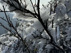 -金子山原生态旅游风景区