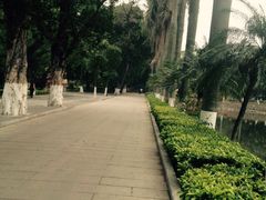 iphone_upload_pic-中山大学学者灵芝(园南路店)