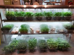 -鲜货俚鲜火锅(青果路店)