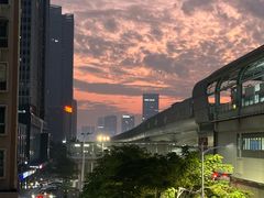 -光明刘冰乳鸽店(光明法政北路店)