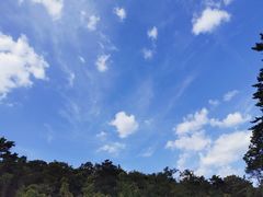 -棒棰岛宾馆景区