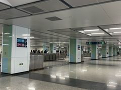-宋家庄(地铁站)