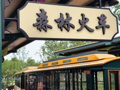 -合肥滨湖国家森林公园