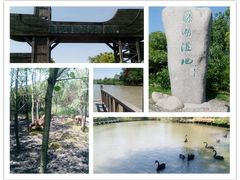 景点-溱湖国家湿地公园