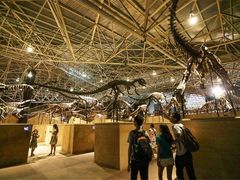 -世界恐龙谷景区