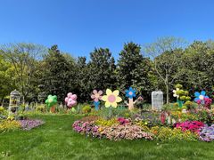 -上海共青森林公园