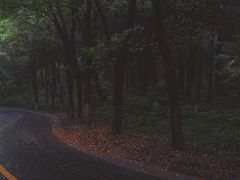 -南山风景名胜区