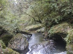 -龙苍沟森林公园