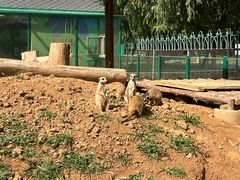 -秦皇岛野生动物园