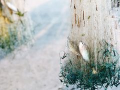 -陶辛水韵