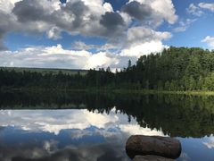 -五营红松林海景区