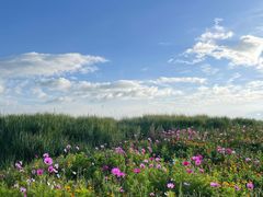 -青海湖国家重点风景名胜区