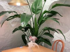 -麓椿花园西餐厅(海乐世界店)