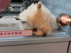 -FAELING PETS美天灵宠物(合生汇店)