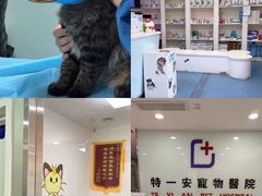 -特一安24小时宠物医院·骨科·中兽医