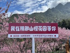 -梅州天地人花园酒店(梅县人民广场店)