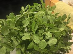 西洋菜-烹然四季椰子鸡火锅(团结湖总店)