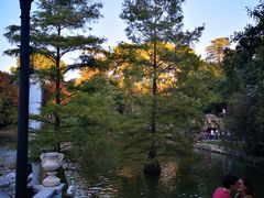 -丽池公园