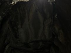 -武陵山森林公园