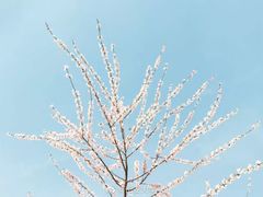 -长安大学(北校区)