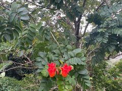 -七仙岭温泉国家森林公园