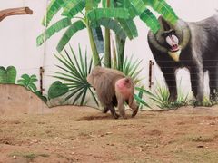 -南京金牛湖风景区