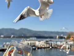 -昆明冠生园·蛋糕·面包(南强街店)