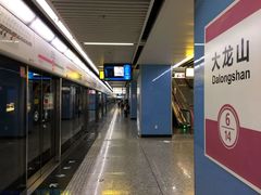 -大龙山(地铁站)