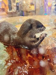 -Zoolung Zoolung动物主题公园(海信广场店)