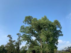 -火炉山森林公园