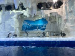 -华夏文旅海洋公园