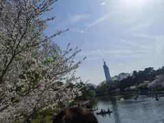-紫峰大厦