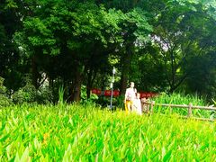 -成都市活水公园
