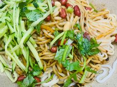 -高新活力汇Vitality