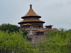 -磬锤峰森林公园