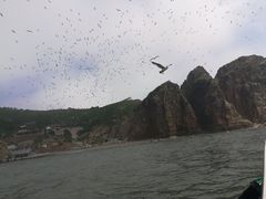 -海驴岛(荣成市)