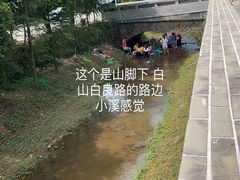 -广州市帽峰山景区