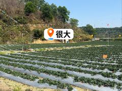 -凤岗南门山森林公园