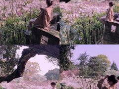 -南山植物园