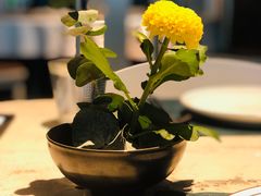 -T館·花园艺术餐厅